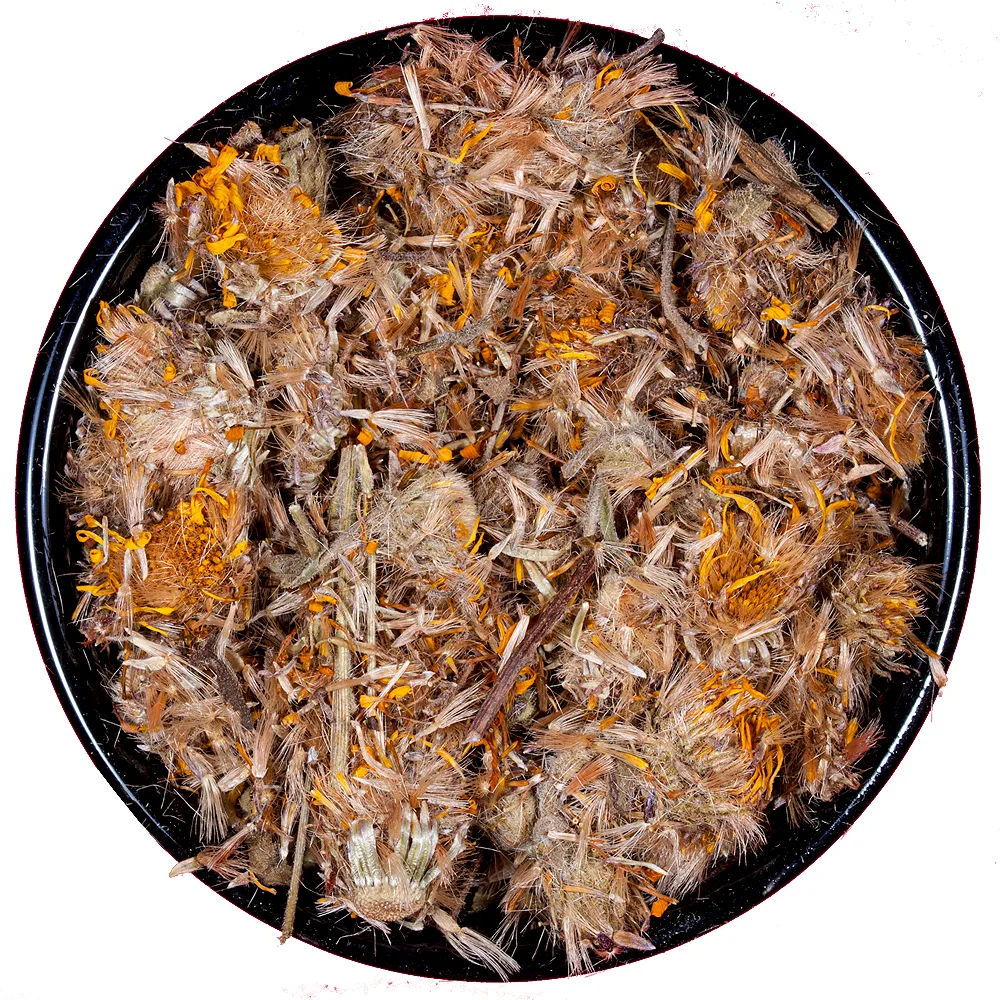 Arnica Mexicana Flor