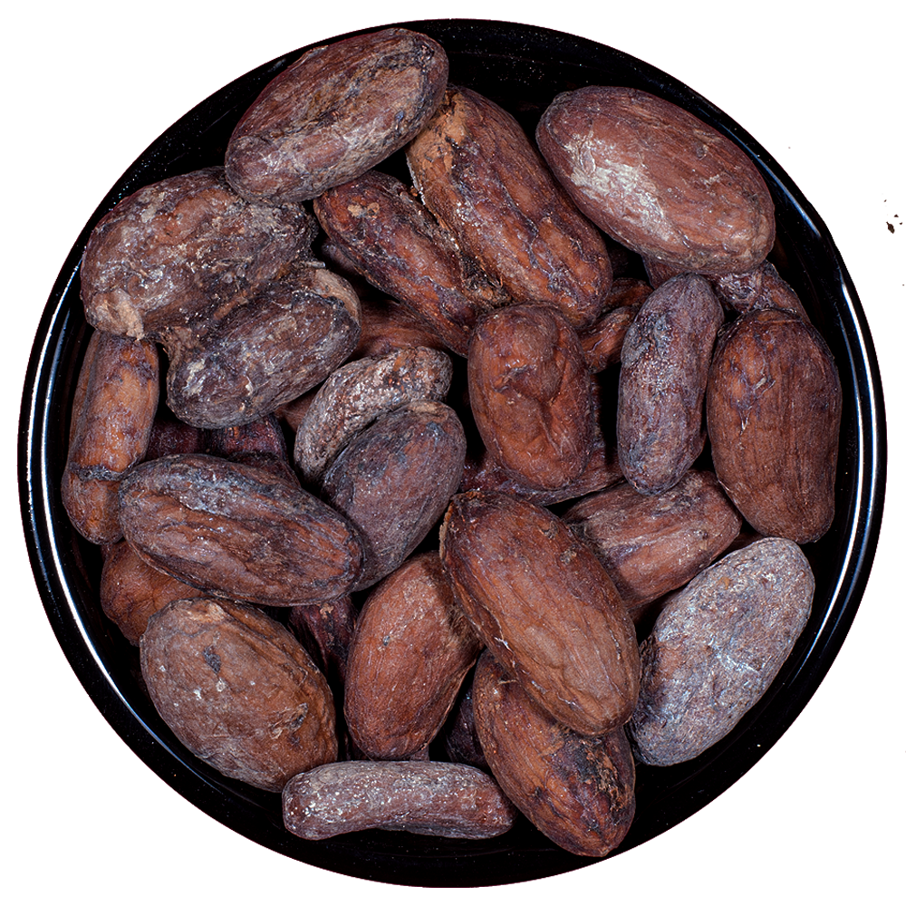 Cacao Crudo en Grano