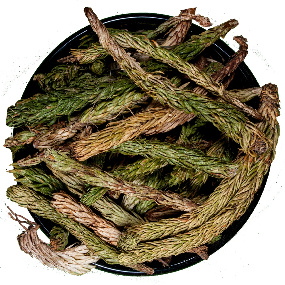 Cola De Quirquincho