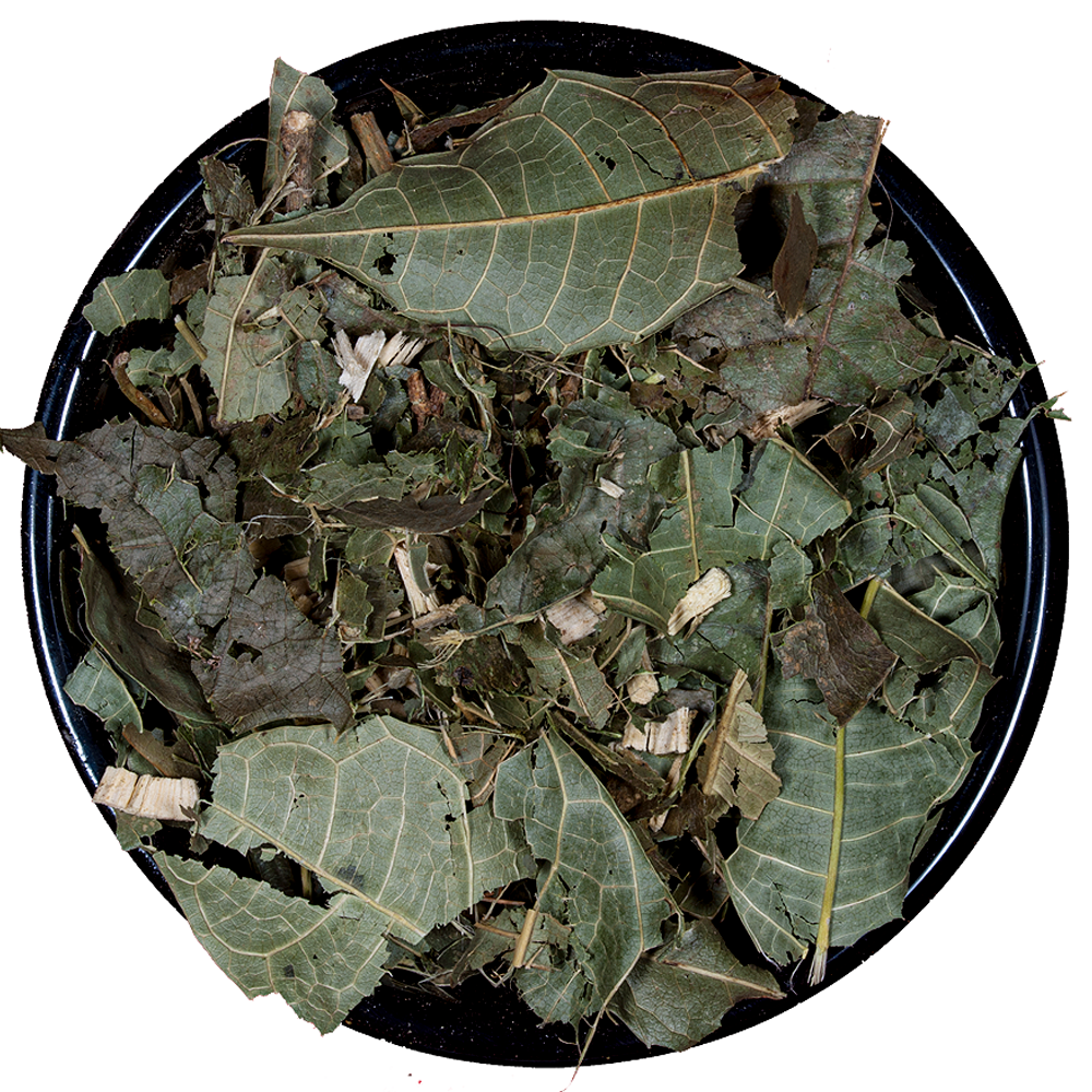 Congorosa