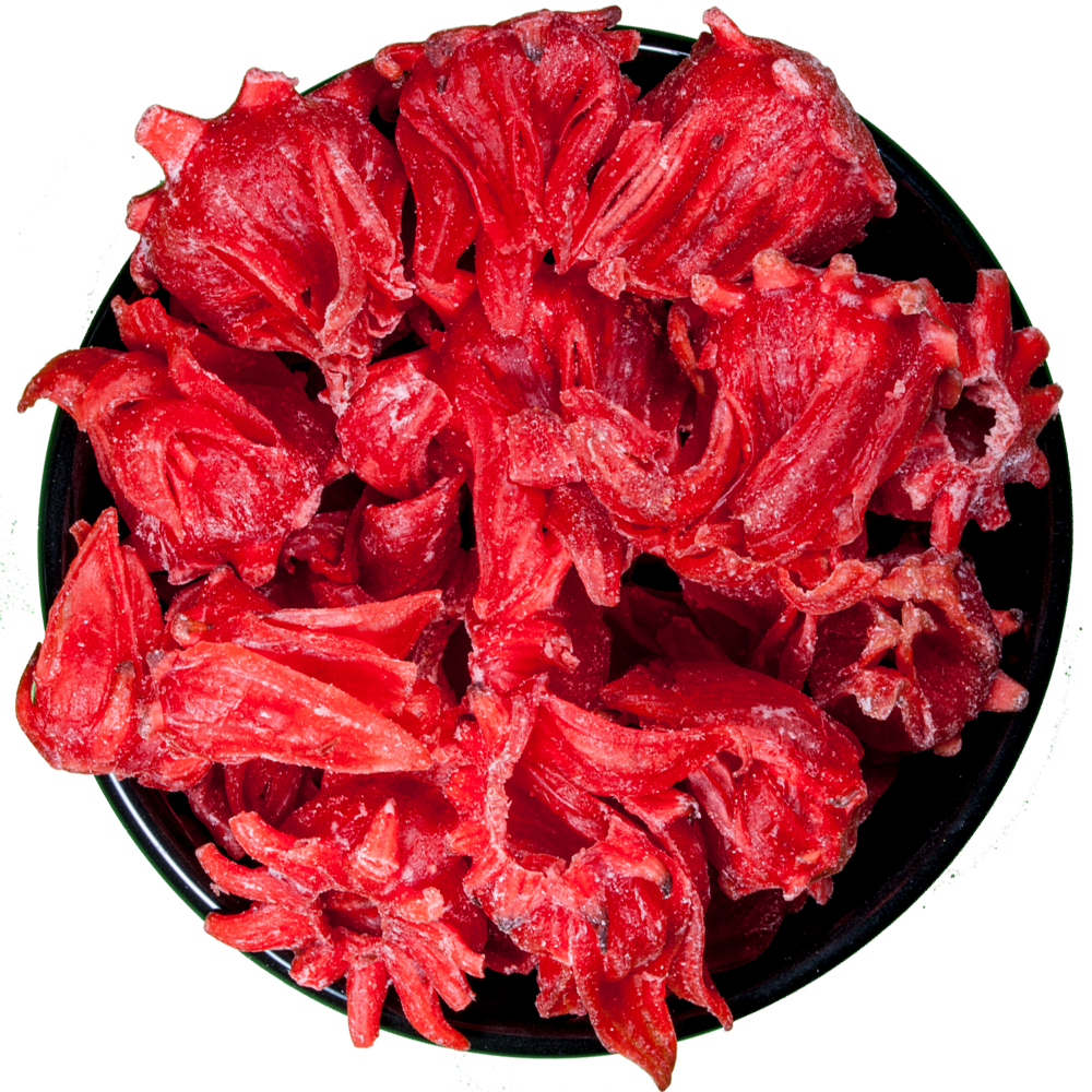 Hibiscus en Flor Glaseado