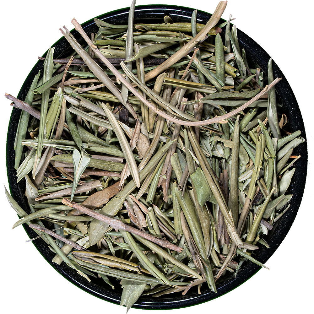 Olivo Hojas
