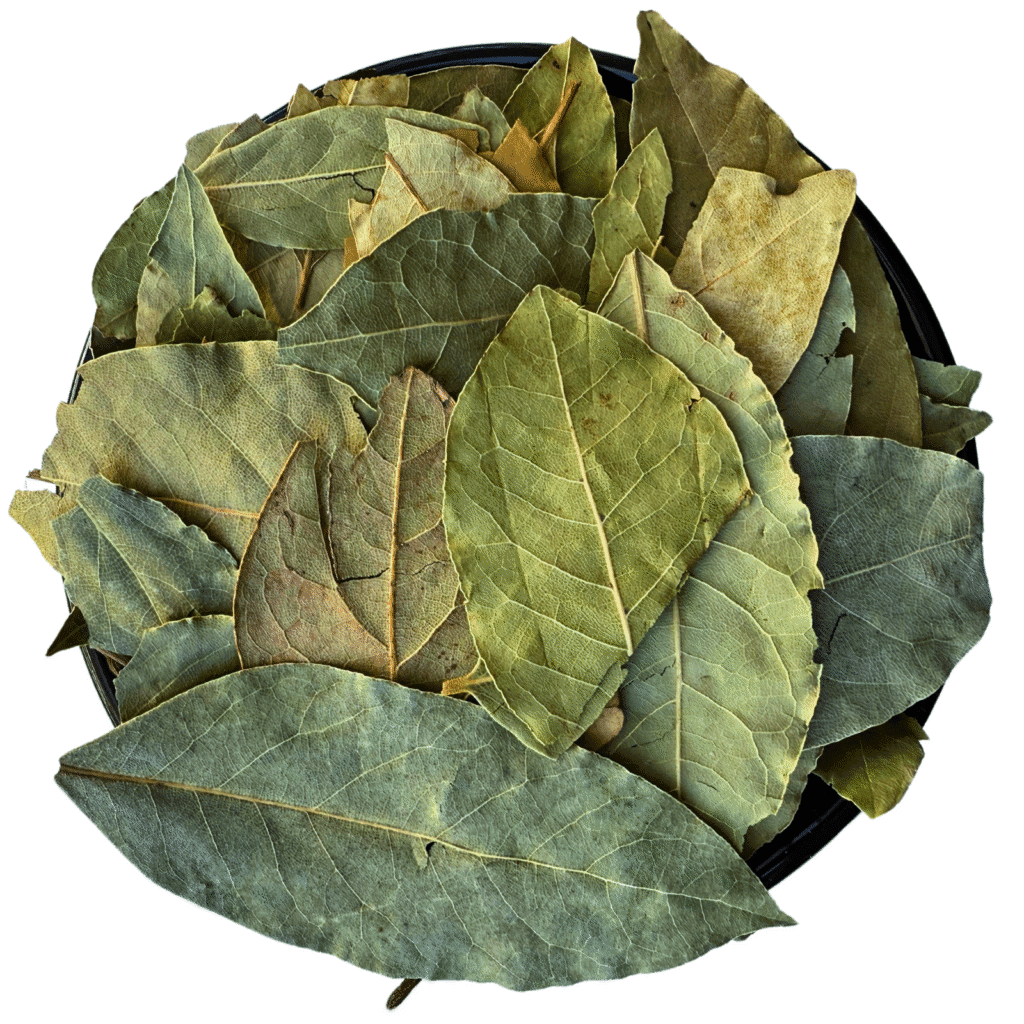 Laurel en Hoja Premium