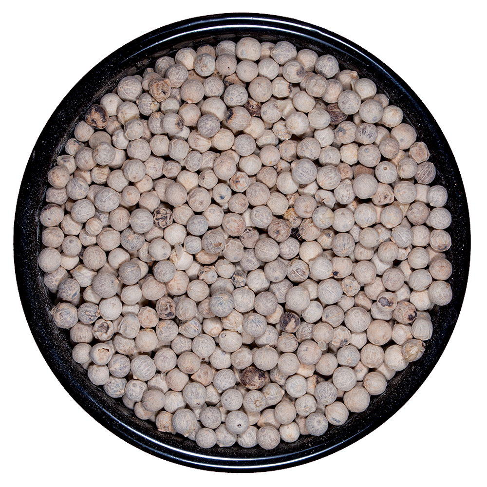 Pimienta Blanca en Grano Premium