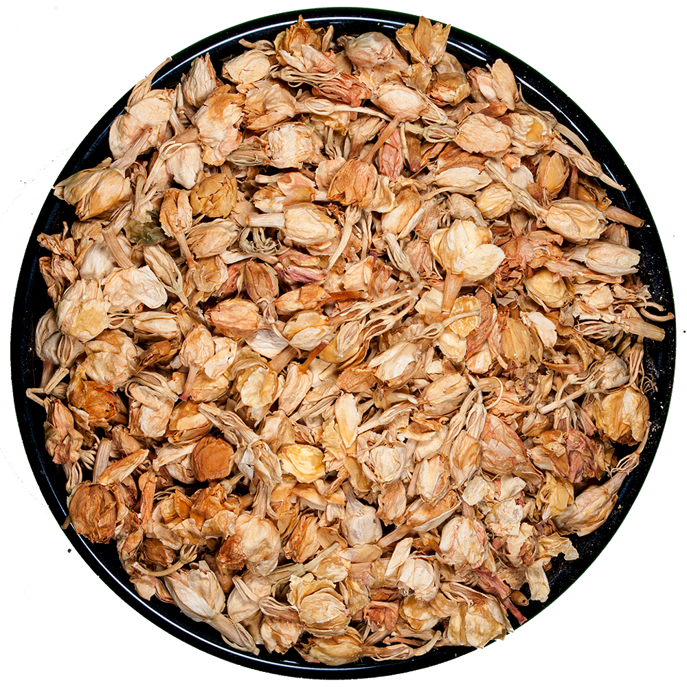 Pimpollo de Jazmin Premium