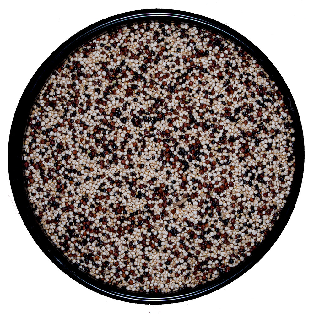 Quinoa Mix Tricolor (Desaponificada)