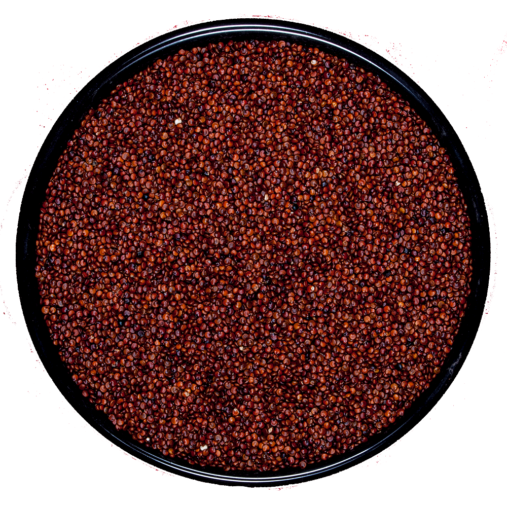 Quinoa Roja Premium