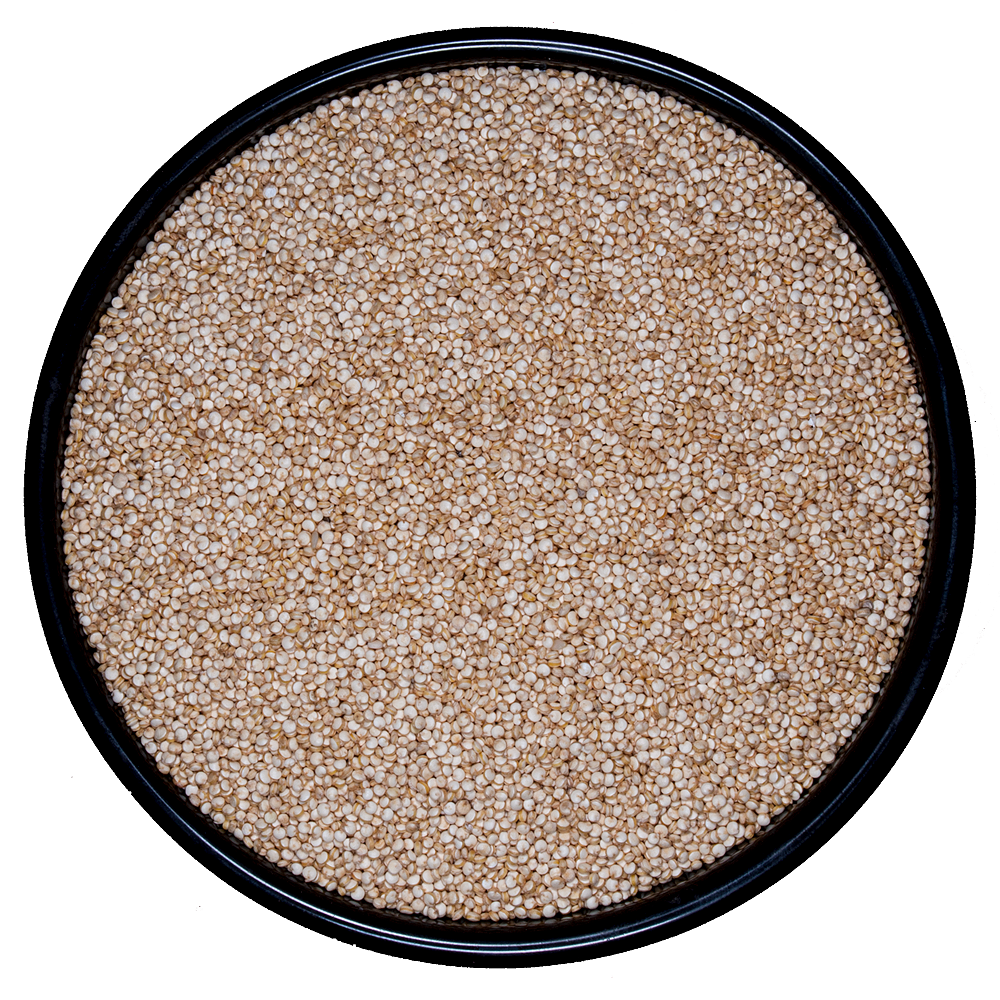 Quinoa Blanca Premium Lavada (Desaponificada)
