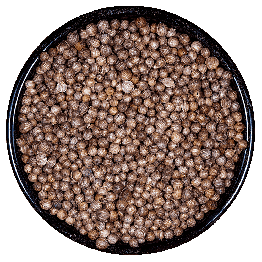 Coriandro - Cilantro Semilla Entera