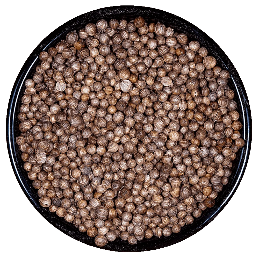 Coriandro - Cilantro Semilla Entera