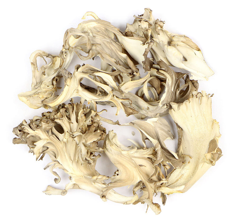 Maitake Hongo Entero Deshidratado