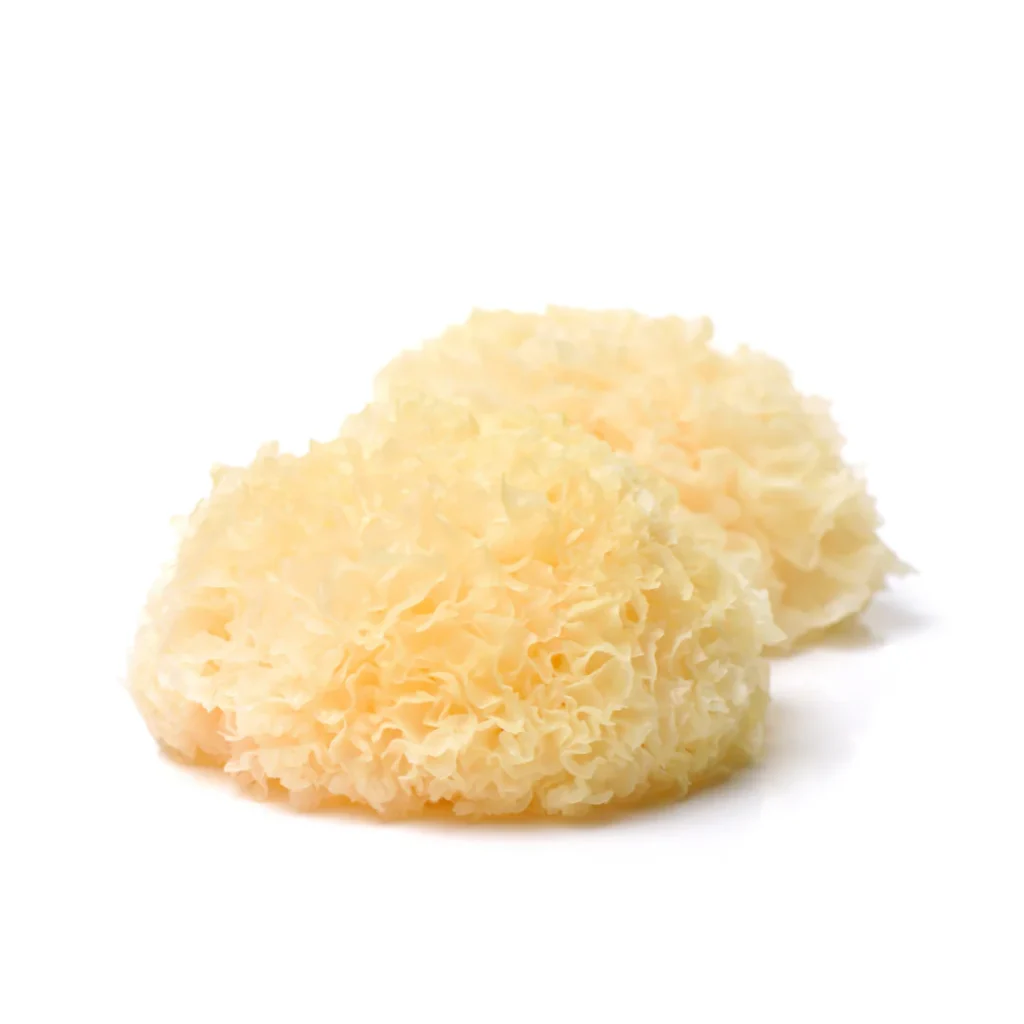 Tremella Hongo Entero Deshidratado
