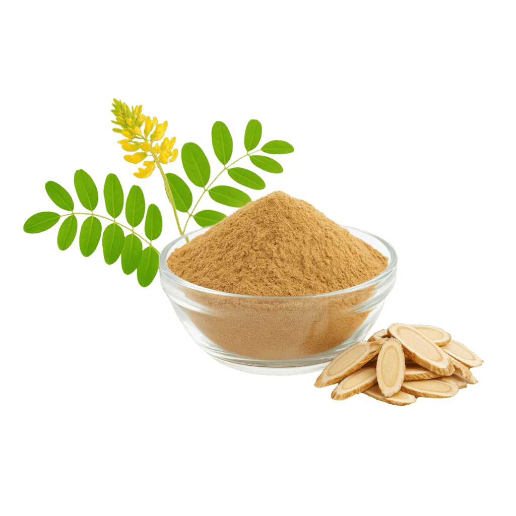 Astragalus Extracto Polvo 4:1