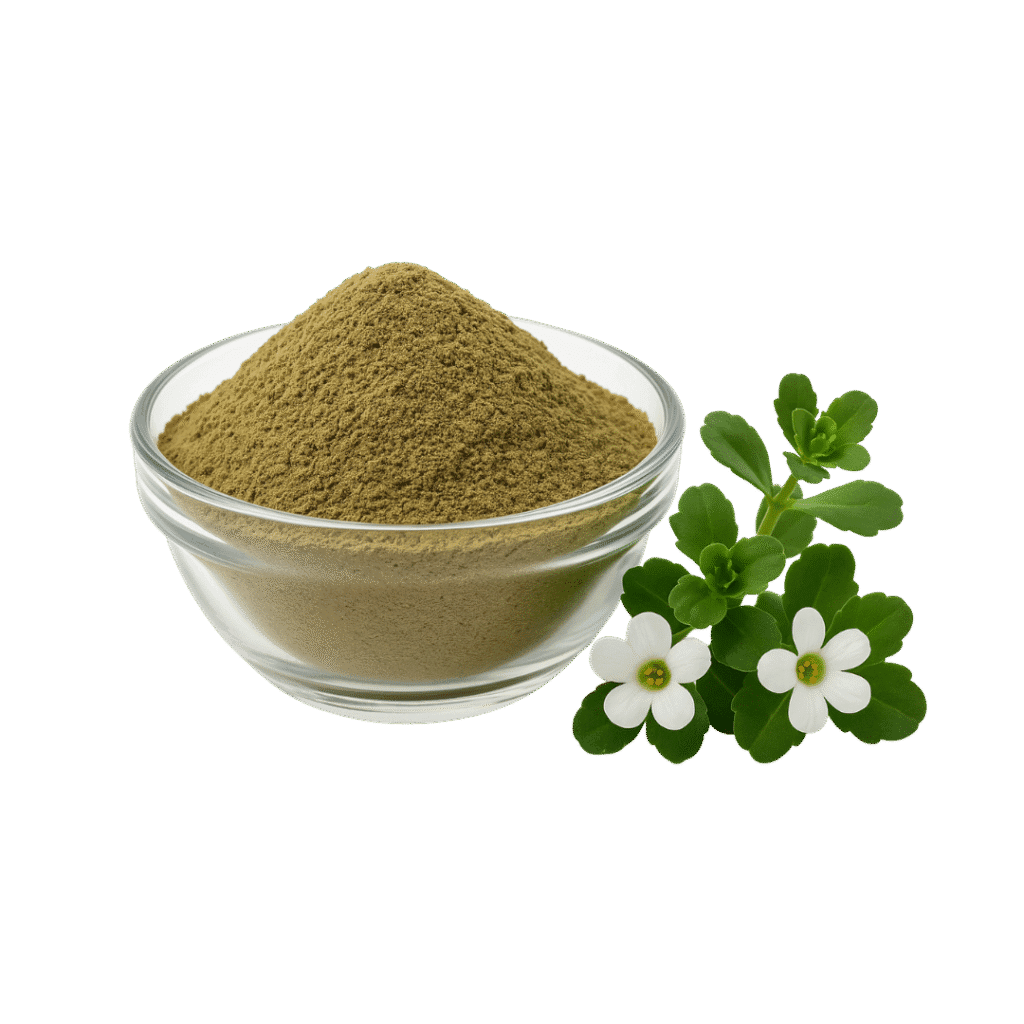 Bacopa Monnieri Extracto Polvo Estandarizado 20% Bacogenina
