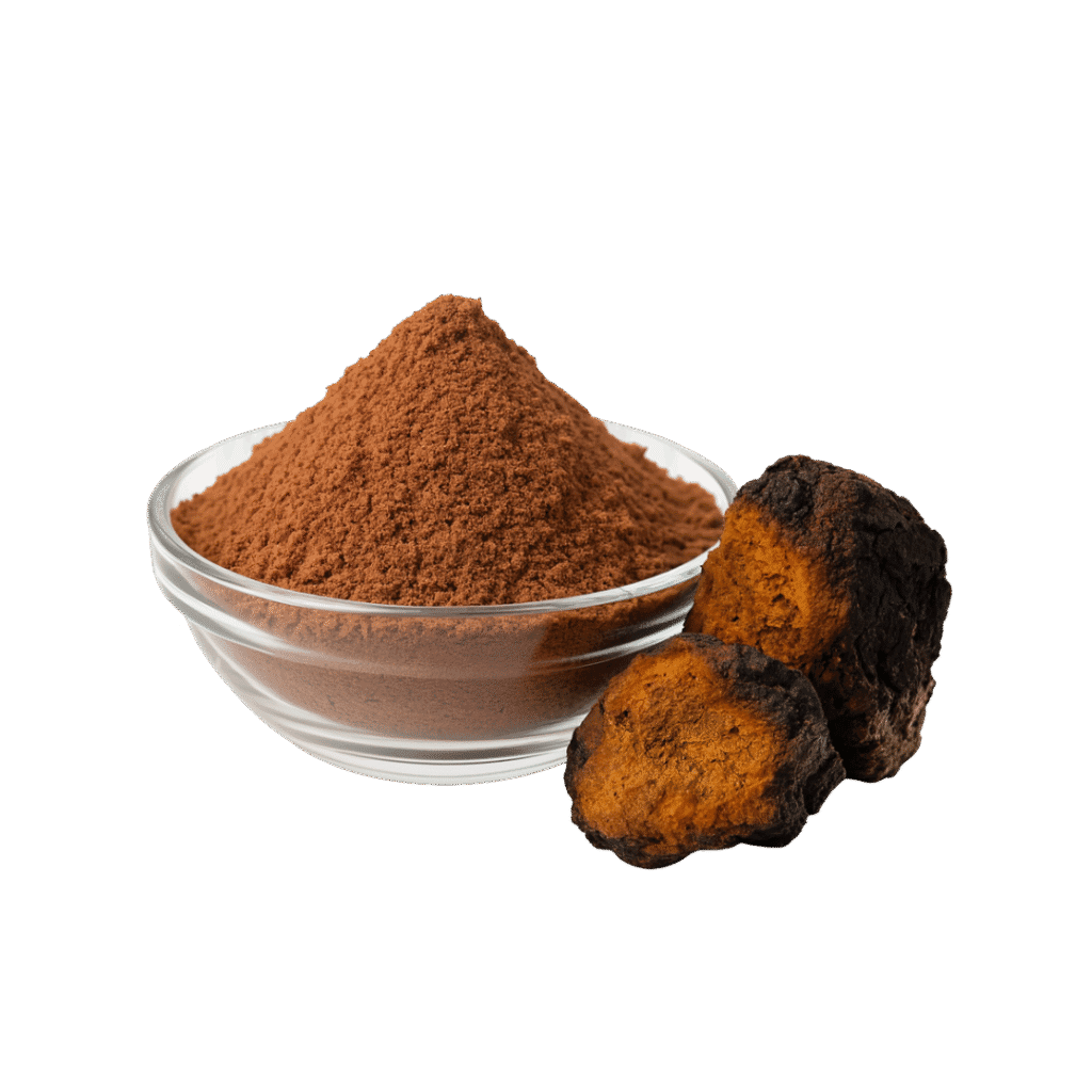 Chaga Extracto Polvo Estandarizado 10:1 30% Beta Glucanos