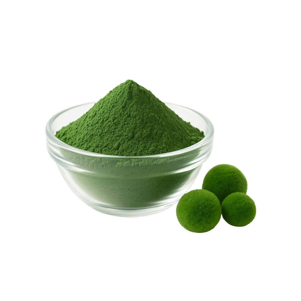 Chlorella Extracto Polvo Estandarizado 50% Protein