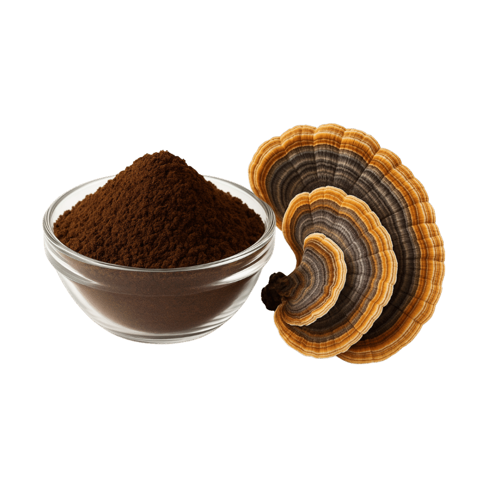 Cola de Pavo Turkey Tail Extracto Polvo Estandarizado 10:1 30% Beta Glucanos