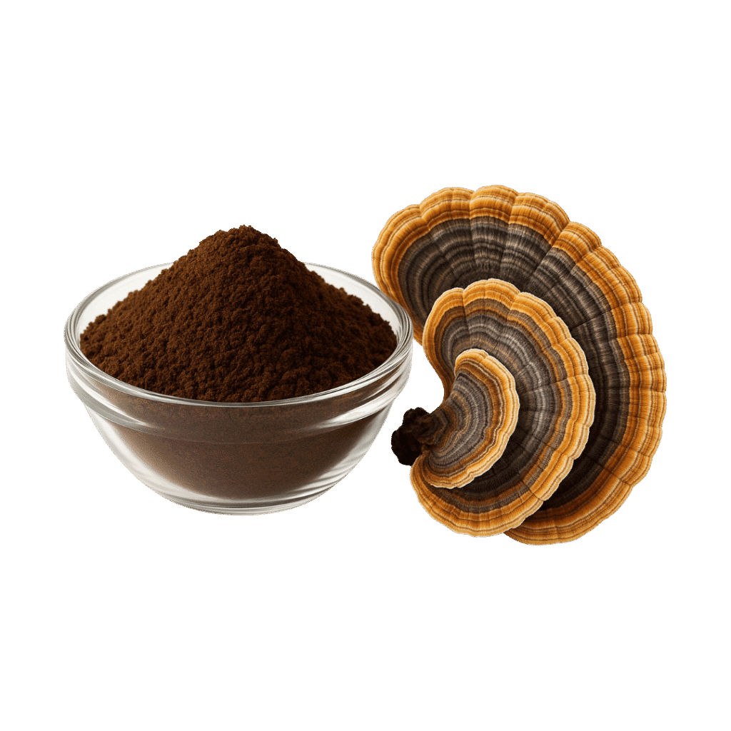 Cola de Pavo Turkey Tail Extracto Polvo Estandarizado 10:1 30% Beta Glucanos