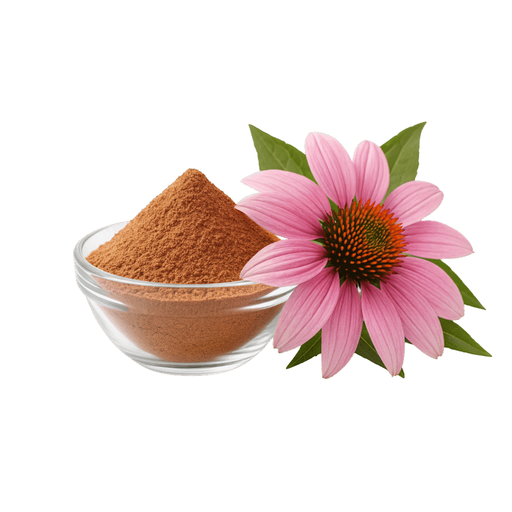 Echinacea Extracto Polvo Estandarizado 4 % Chicoric Acid