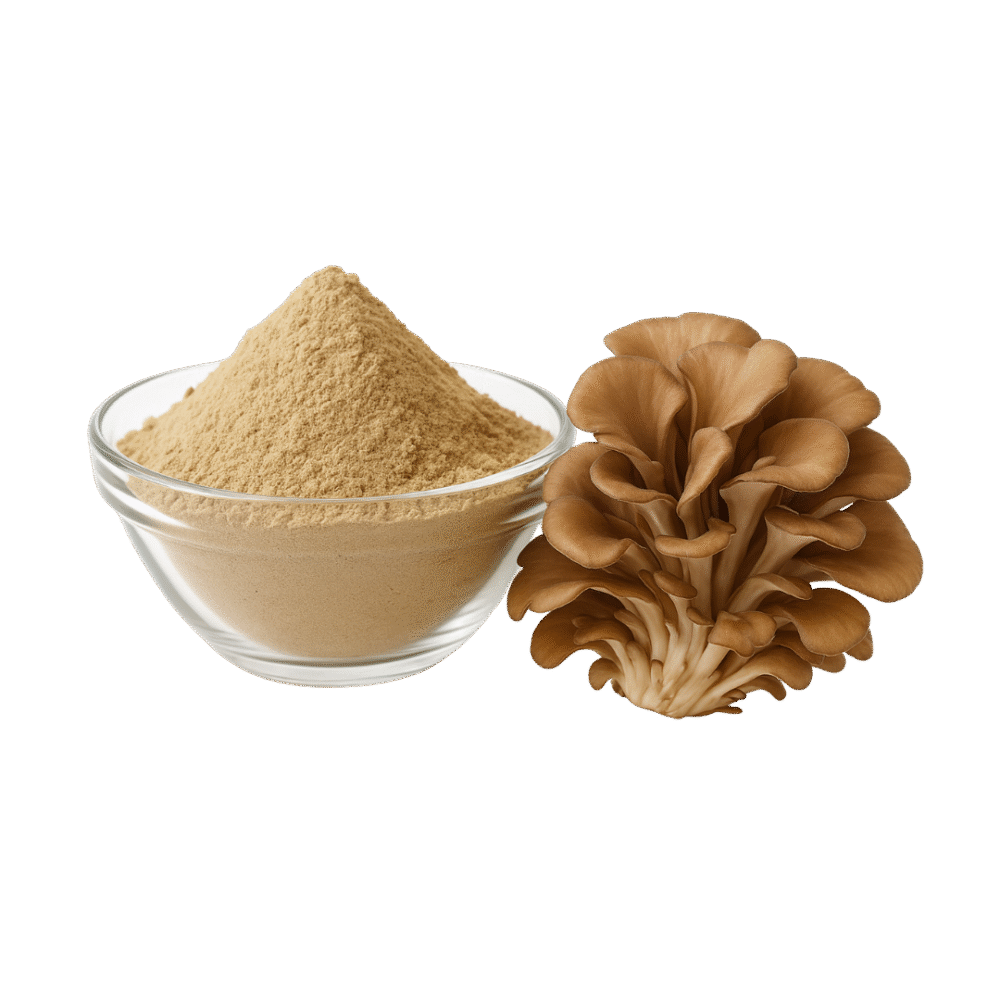 Maitake Extracto Polvo Estandarizado 10:1 30% Beta Glucanos