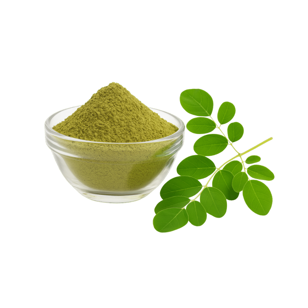 Moringa Oleifera Extracto en Polvo Concentrado 4:1