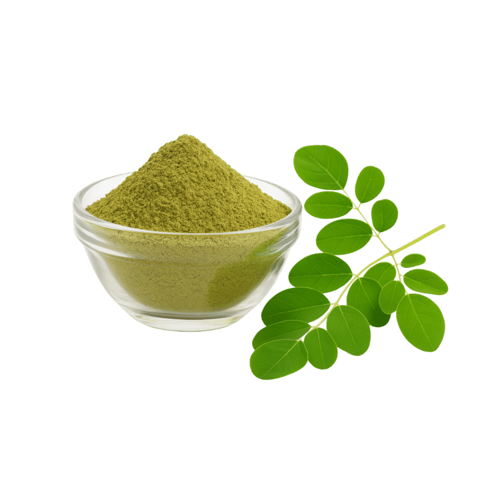 Moringa Oleifera Extracto en Polvo Concentrado 4:1