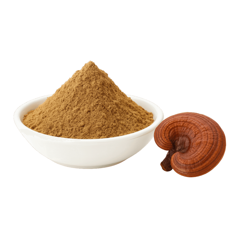 Reishi en Polvo Micronizado Cuerpo Fructífero Orgánico