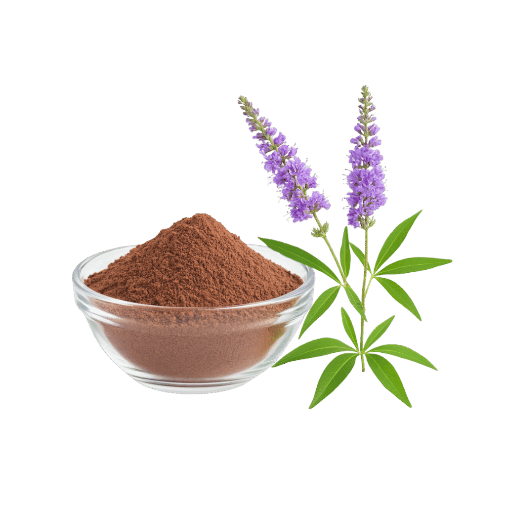 Vitex Agnus Castus Extracto en Polvo Concentrado
