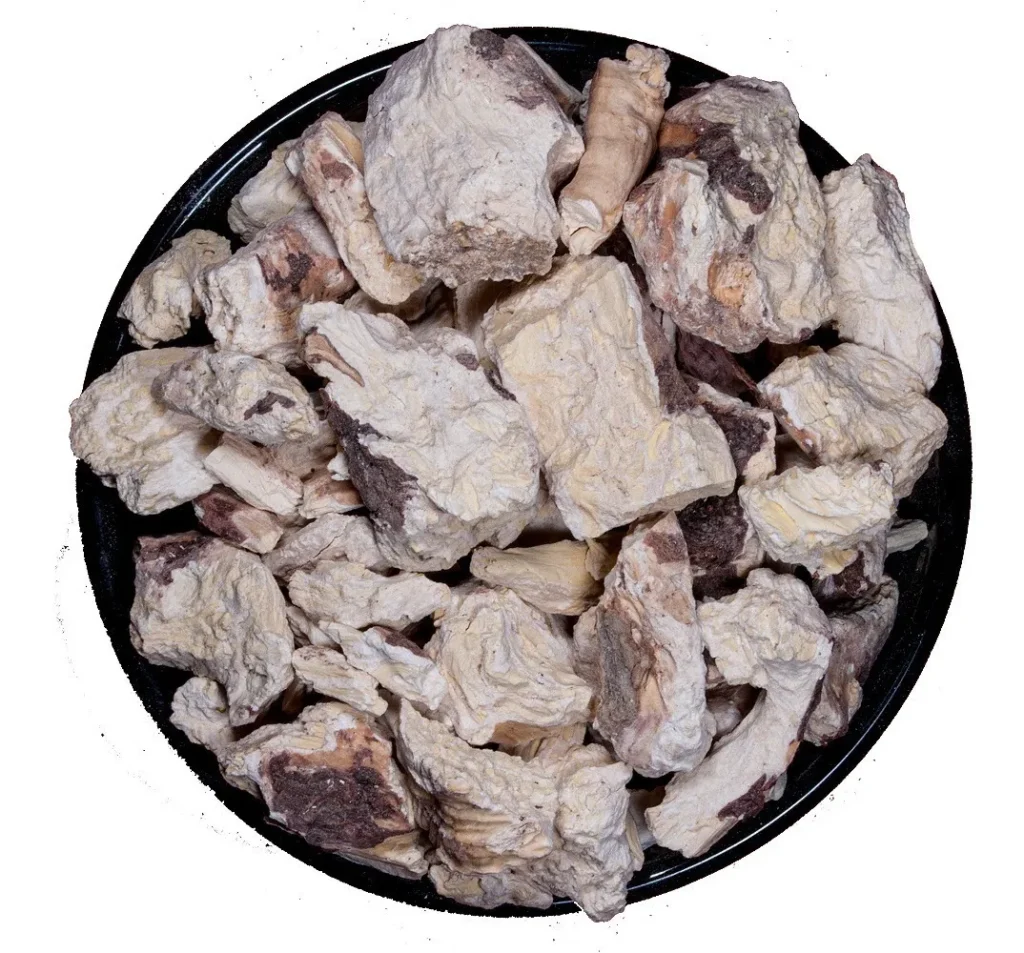 Saponaria Raiz