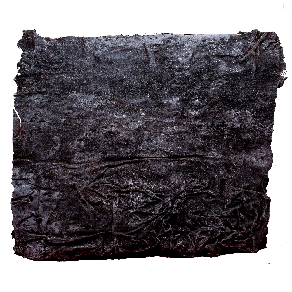 Algas Kombu 500G | Kinwaya