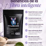 Reishi Cuerpo Fructífero | Relax, Descanso y Defensas
