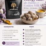 Reishi Cuerpo Fructífero | Relax, Descanso y Defensas